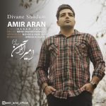 دانلود آهنگ امیر آران دیوانه شدم